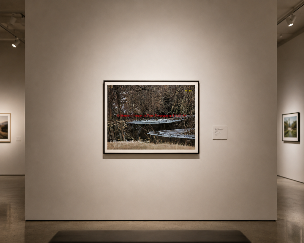 Wall Art 57