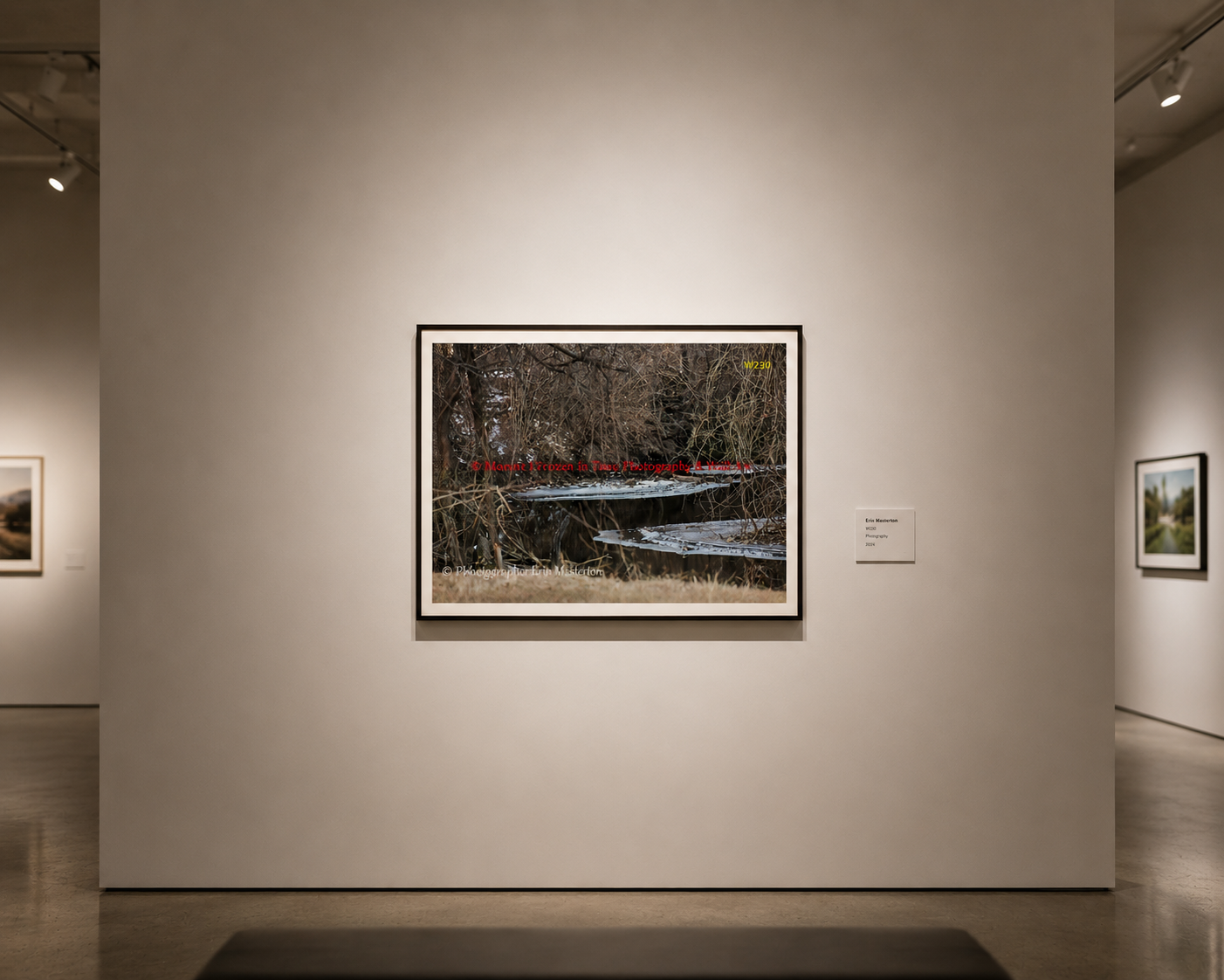 Wall Art 57
