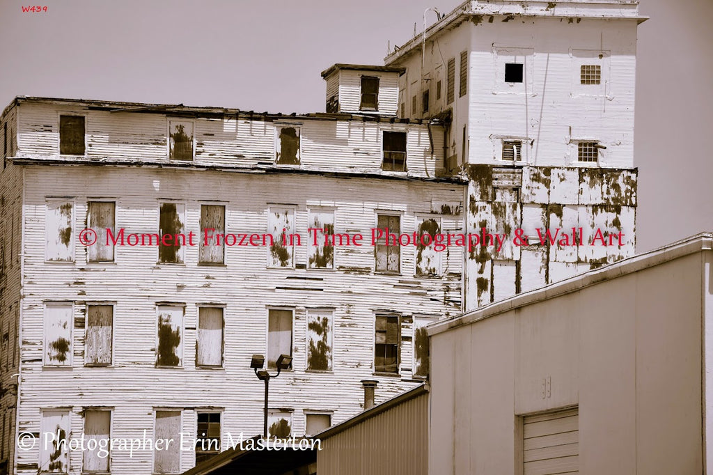 Wall Art 21