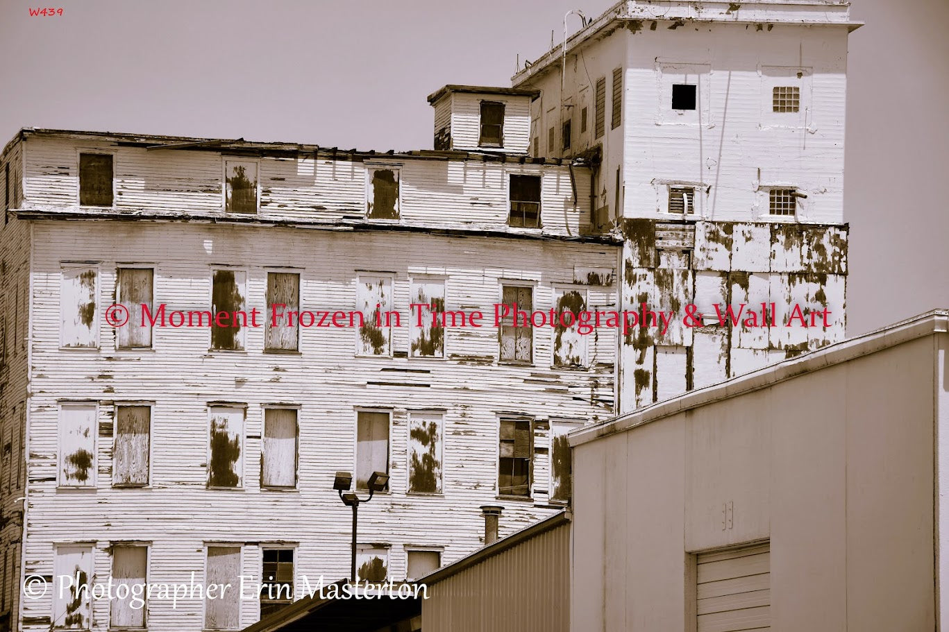 Wall Art 21