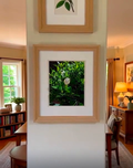Wall Art 4