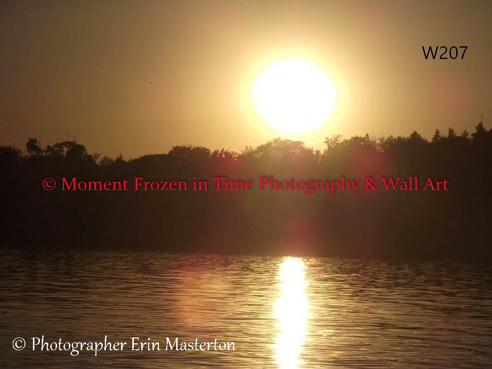 Wall Art 59
