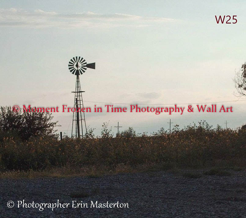 Wall Art 35