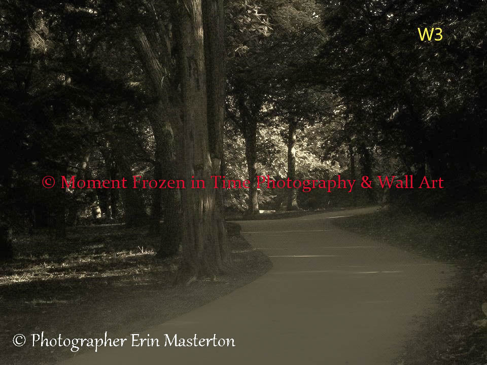 Wall Art 30