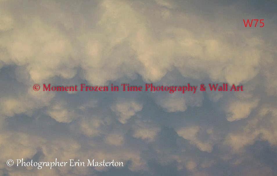 Wall Art 83