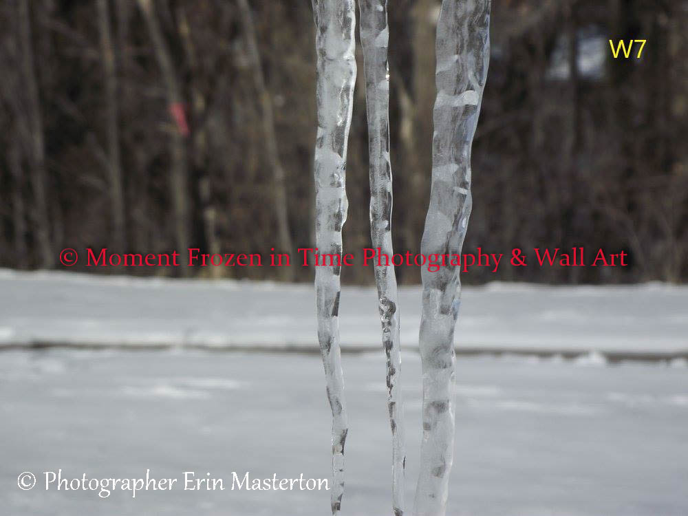 Wall Art 28