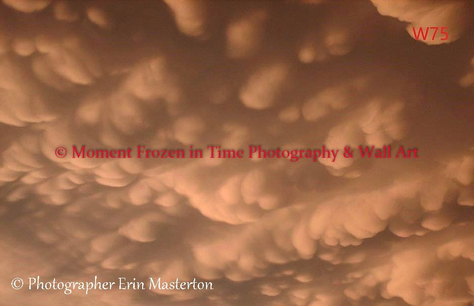 Wall Art 82