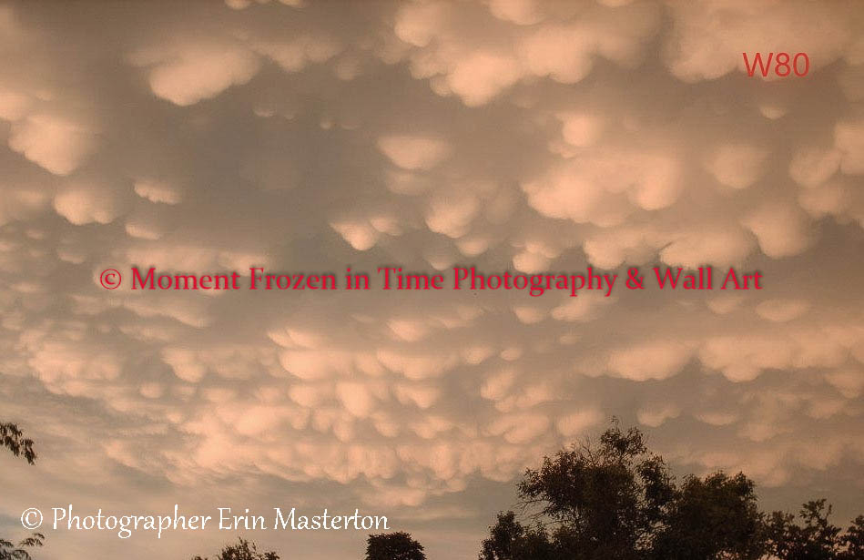 Wall Art 80