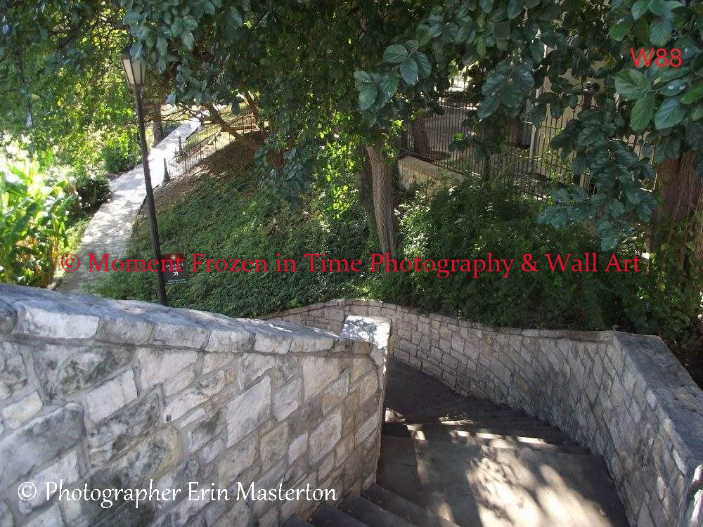 Wall Art 79