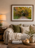 Wall Art 15