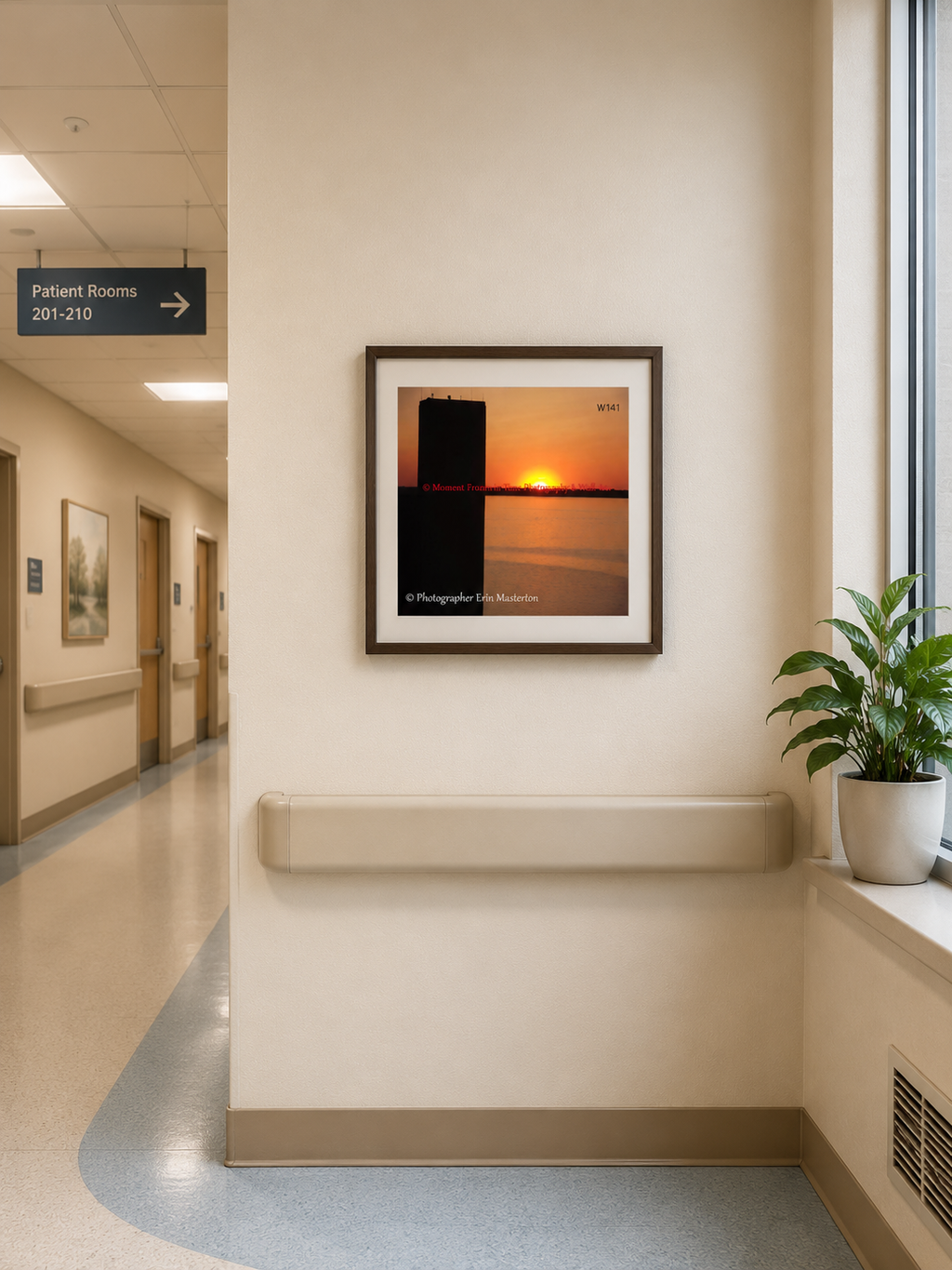 Wall Art 67